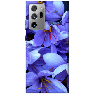 Чохол itsPrint Фіолетовий сад для Samsung Galaxy Note 20 Ultra - Інтернет-магазин спільних покупок ToGether