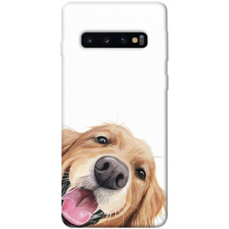 Чохол itsPrint Funny dog для Samsung Galaxy S10 - Інтернет-магазин спільних покупок ToGether