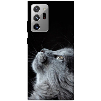 Чохол itsPrint Cute cat для Samsung Galaxy Note 20 Ultra - Інтернет-магазин спільних покупок ToGether