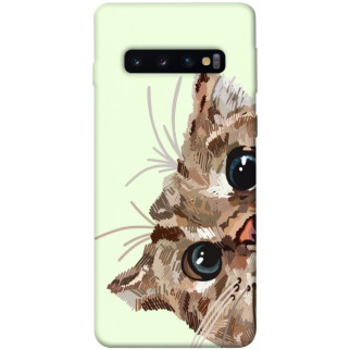 Чохол itsPrint Cat muzzle для Samsung Galaxy S10 - Інтернет-магазин спільних покупок ToGether
