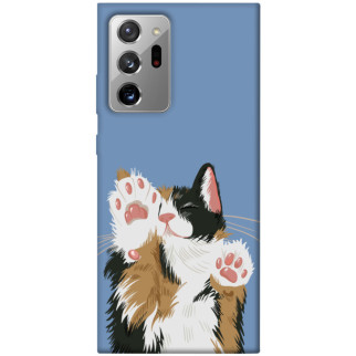 Чохол itsPrint Funny cat для Samsung Galaxy Note 20 Ultra - Інтернет-магазин спільних покупок ToGether