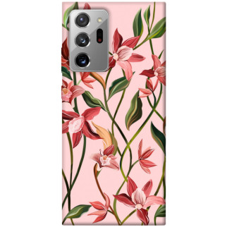 Чохол itsPrint Floral motifs для Samsung Galaxy Note 20 Ultra - Інтернет-магазин спільних покупок ToGether