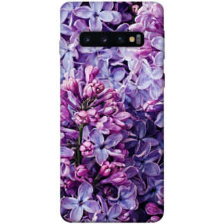Чохол itsPrint Violet blossoms для Samsung Galaxy S10 - Інтернет-магазин спільних покупок ToGether