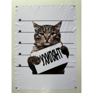Банер Кіт "Ухиляянт" 600х900 мм - Інтернет-магазин спільних покупок ToGether