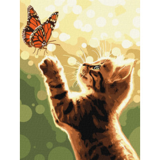 Набір для розпису по номерах "Кіт і метелик" 30х40см КНО6615 | КНО6615 - Інтернет-магазин спільних покупок ToGether