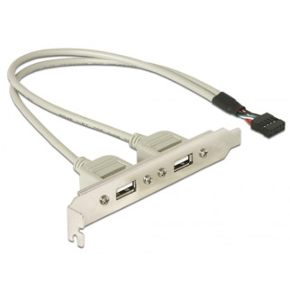 Планка корпусна Delock USB2.0 Ax2-PinHeader 0.30m Slot Bracket Сірий (70.07.1000) - Інтернет-магазин спільних покупок ToGether