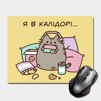 Ігрова поверхня Пушин "У коридорі" - Pusheen 220 х 180 мм (18202) Nextprint - Інтернет-магазин спільних покупок ToGether