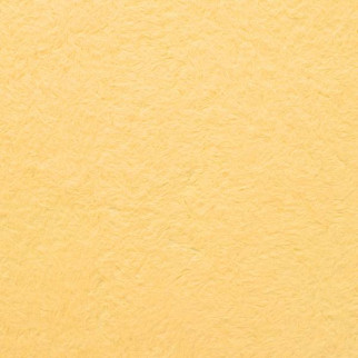 Рідкі шпалери Нектаринового кольору Бегонія 130 - Інтернет-магазин спільних покупок ToGether