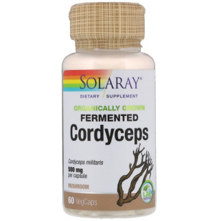 Кордіцепс 500 мг, Ферментовані гриби, Organically Grown Fermented Cordyceps, Solaray, 60 вегетаріанських капсул - Інтернет-магазин спільних покупок ToGether