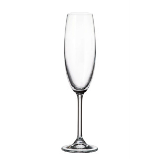 Набір бокалів Bohemia Colibri (Gastro) 220 мл для шампанського 6 шт (4S032 220 BOH) - Інтернет-магазин спільних покупок ToGether