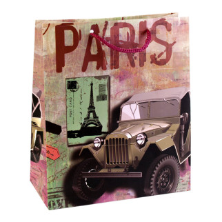 Сумочка подарункова паперова з ручками Gift bag Paris 21х18х8.5 см (19374) - Інтернет-магазин спільних покупок ToGether