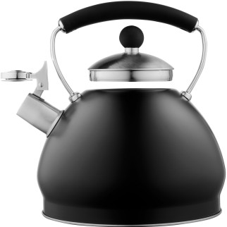 Чайник із нержавіючої сталі 3 л чорний Ardesto Black Mars AR0748KS - Інтернет-магазин спільних покупок ToGether