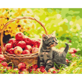 Картина за номерами "Яблучний котик" ★★★ - Інтернет-магазин спільних покупок ToGether