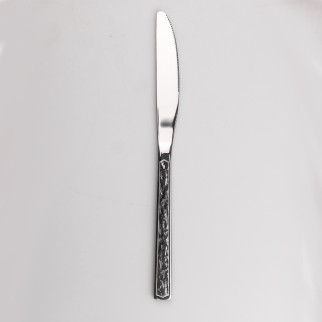 Набір TS Kitchen столових ножів 6 штук з нержавіючої сталі хром (HP96922) - Інтернет-магазин спільних покупок ToGether