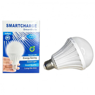 Світлодіодна лампа LED E27 5W з акумулятором - Інтернет-магазин спільних покупок ToGether