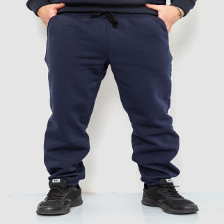 Спорт штани чоловічі на флісі, колір темно-синій, 241R001 - Інтернет-магазин спільних покупок ToGether