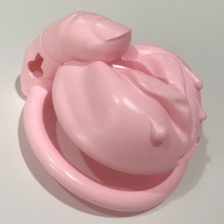 Пояс цнотливості для чоловіків Female Genital Chastity Device Pink 18+ - Інтернет-магазин спільних покупок ToGether