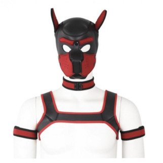 Комплект для гри в раба Dog Bondage Gear Kit White 18+ - Інтернет-магазин спільних покупок ToGether