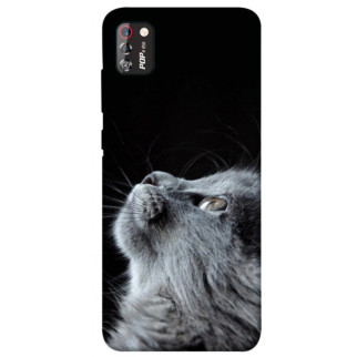 Чохол itsPrint Cute cat для TECNO POP 4 Pro - Інтернет-магазин спільних покупок ToGether