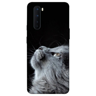 Чохол itsPrint Cute cat для OnePlus Nord - Інтернет-магазин спільних покупок ToGether