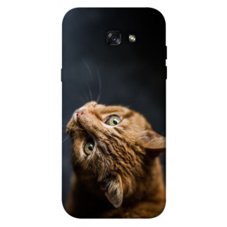 Чохол itsPrint Рудий кіт для Samsung A720 Galaxy A7 (2017) - Інтернет-магазин спільних покупок ToGether
