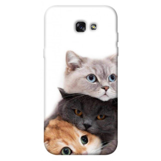 Чохол itsPrint Три коти для Samsung A720 Galaxy A7 (2017) - Інтернет-магазин спільних покупок ToGether