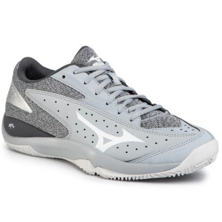 Чоловічі кросівки MIZUNO SHOE WAVE FLASH CC сірий/білий/темно-сірий (44.5) UK10 61GC1970-01 44.5 - Інтернет-магазин спільних покупок ToGether