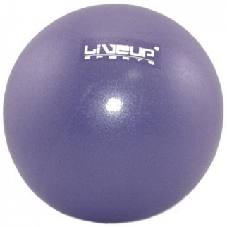 Мяч LiveUP MINI BALL фіолетовий 20см LS3225-20p - Інтернет-магазин спільних покупок ToGether