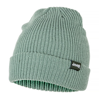 Чоловіча Шапка JEEP RIBBED TRICOT HAT WITH CUFF J22W Хакі One size (O102600-E854) - Інтернет-магазин спільних покупок ToGether