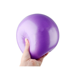 М'яч для пілатеса EasyFit 25 см фіолетовий - Інтернет-магазин спільних покупок ToGether