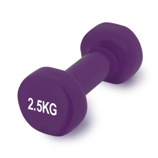 Гантель вінілова PowerPlay 4125 Achilles 2.5 кг. Фіолетова (1шт.) - Інтернет-магазин спільних покупок ToGether