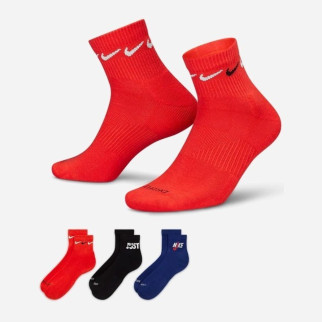 Чоловічі Шкарпетки Nike U NK EVERYDAY PLUS CUSH ANKLE чорний, синій, червоний Чол 38-42 DH3827-905 38-42 - Інтернет-магазин спільних покупок ToGether