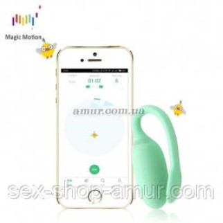 Смарт-тренажер Кегеля Magic Motion Kegel Rejuve - Інтернет-магазин спільних покупок ToGether