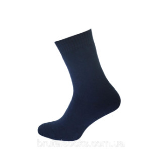 Шкарпетки махрові чоловічі зимові Twinsocks р.39-40 (25), 41-42 (27) сірі, сині Синій, - Інтернет-магазин спільних покупок ToGether