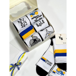 Набір патріотичних шкарпеток (бренд BOX) от ТМ TwinSocks - 6 шт на Ваш вибір - Інтернет-магазин спільних покупок ToGether