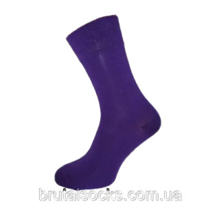 Шкарпетки чоловічі довгі кольорові демісезонні р.41-43 ТМ Twinsocks Фіолетовий - Інтернет-магазин спільних покупок ToGether