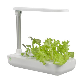 Vegebox™ by BioChef - Table Box - набір садовий для гідропоніки - Інтернет-магазин спільних покупок ToGether