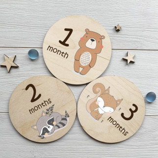 Набір дерев'яних карток для дитячої фотосесії по місяцях 12 штук - Інтернет-магазин спільних покупок ToGether