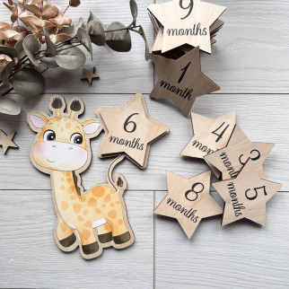 Милі кольорові дерев'яні таблички для фото дитини по місяцях в формі жирафа - Інтернет-магазин спільних покупок ToGether