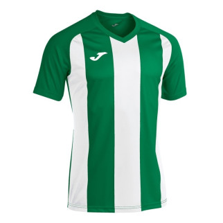 Футболка Joma PISA ll зелений,білий M 102243.452 M - Інтернет-магазин спільних покупок ToGether