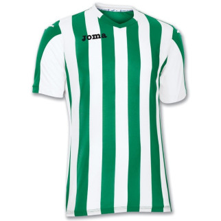 Футболка Joma COPA зелений,білий XS 100001.450 XS - Інтернет-магазин спільних покупок ToGether