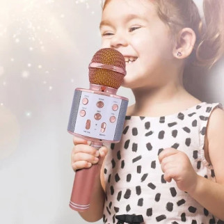 Bluetooth мікрофон караоке дитячий WS-858 зі зміною голосу Золотий-Рожевий - Інтернет-магазин спільних покупок ToGether