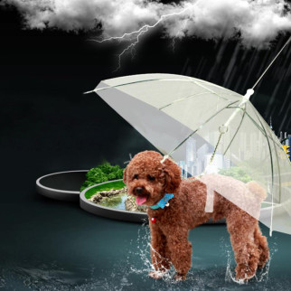 Парасолька для собаки RESTEQ. Парасолька з ланцюгом для собак. Собача парасолька - Інтернет-магазин спільних покупок ToGether