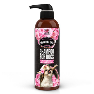 Шампунь RELIQ Mineral Spa Cherry Blossom Shampoo із ароматом вишневих квітів 500 мл - Інтернет-магазин спільних покупок ToGether