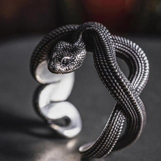 Ретро скандинавська каблучка Гігантська змія Titanoboa - відродження розмір регульований - Інтернет-магазин спільних покупок ToGether