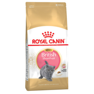 Royal Canin Fbn brit shorthair 1,6 кг400г, корм для кішок 11463 Акція - Інтернет-магазин спільних покупок ToGether