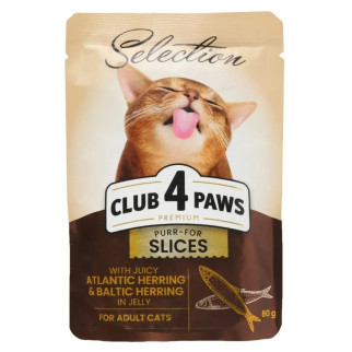 АКЦІЯ -6 Club 4 Paws Premium Вологий корм для кішок з селедкою і салакою в желе 80 г - Інтернет-магазин спільних покупок ToGether