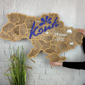 Настінна дерев'яна карта України з логотипом компанії на замовлення - Інтернет-магазин спільних покупок ToGether