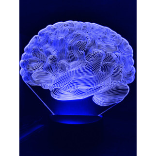 Акриловий світильник-нічник Мозок синій tty-n000912 - Інтернет-магазин спільних покупок ToGether