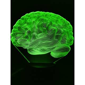 Акриловий світильник-нічник Мозок зелений tty-n000913 - Інтернет-магазин спільних покупок ToGether